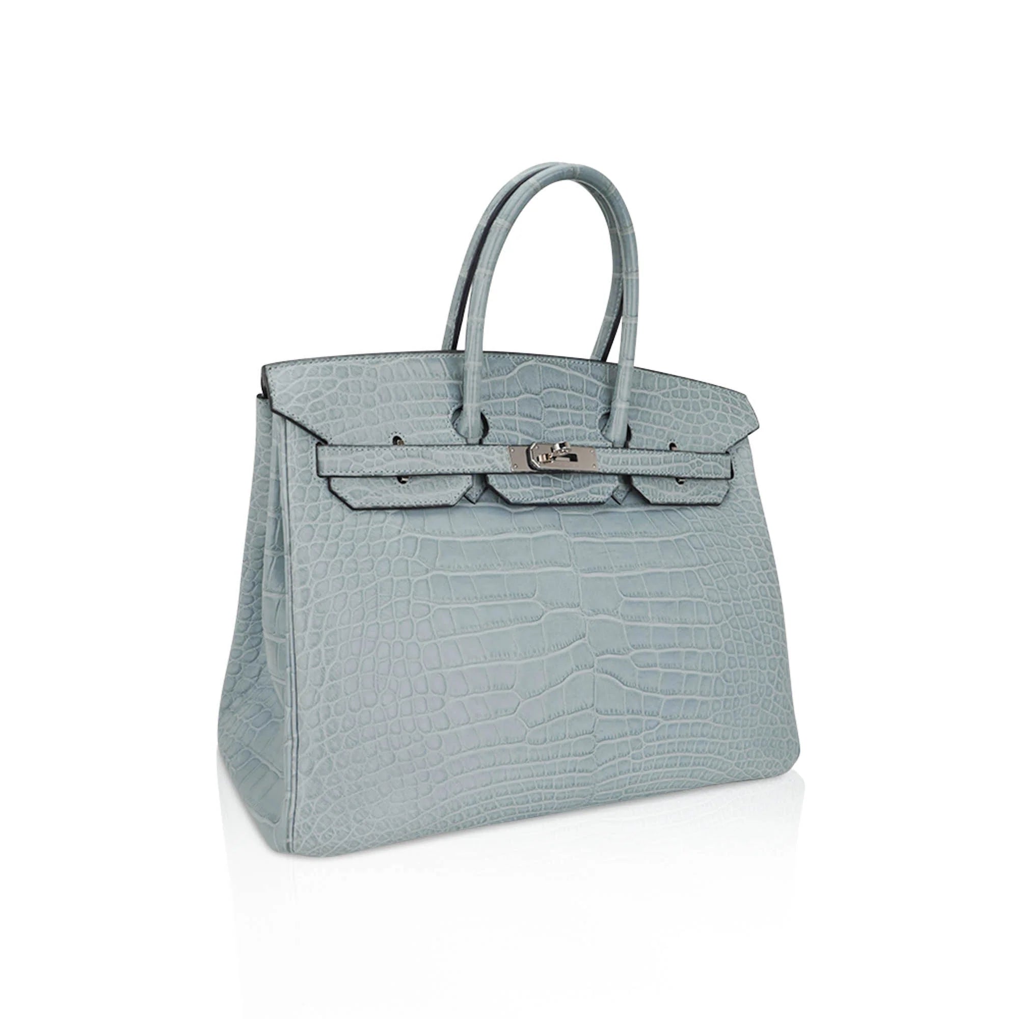 Limited Edition Birkin 35 Bag Ciel Matte Alligator with Palladium Hardware