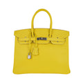 Birkin 35 Lime Candy Limited Edition Bag Epsom Palladium