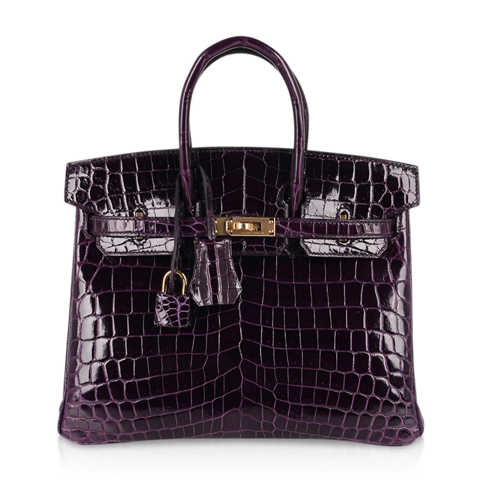Birkin 25 Bag Aubergine Niloticus Crocodile with Gold Hardware