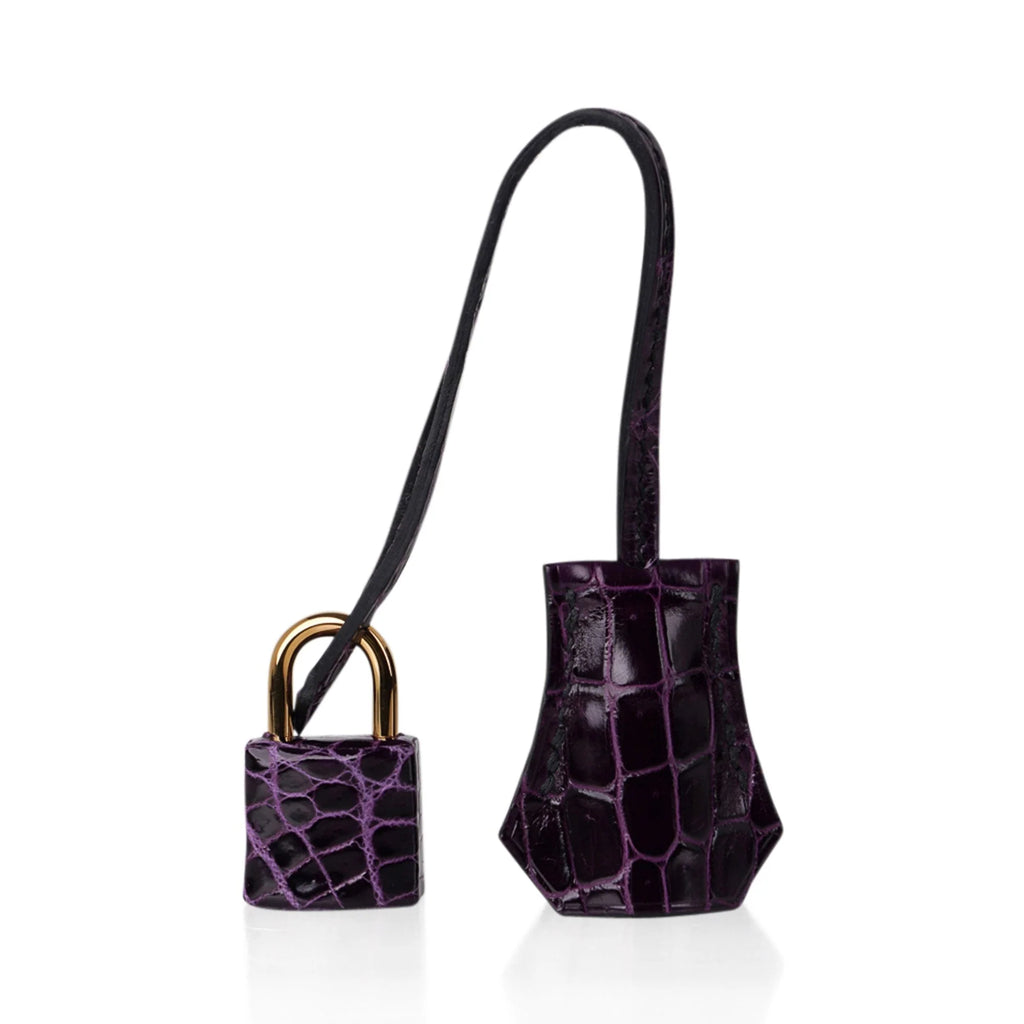 Birkin 25 Bag Aubergine Niloticus Crocodile with Gold Hardware
