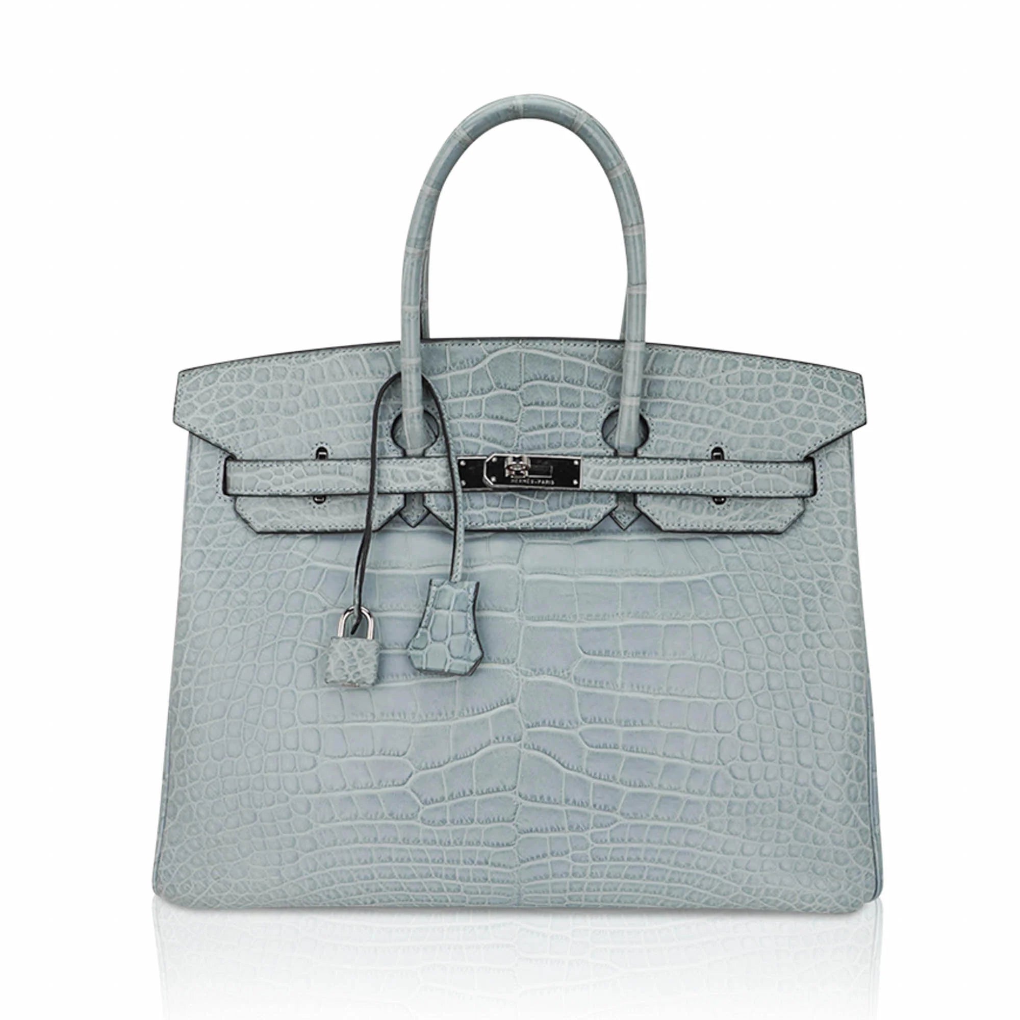 Limited Edition Birkin 35 Bag Ciel Matte Alligator with Palladium Hardware