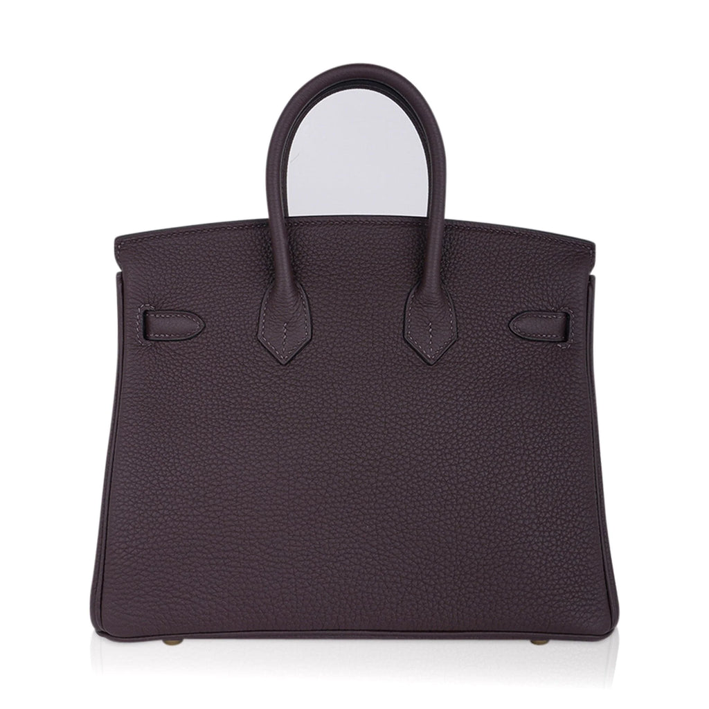 Birkin 25 Bag Chocolat Gold Hardware Togo Leather