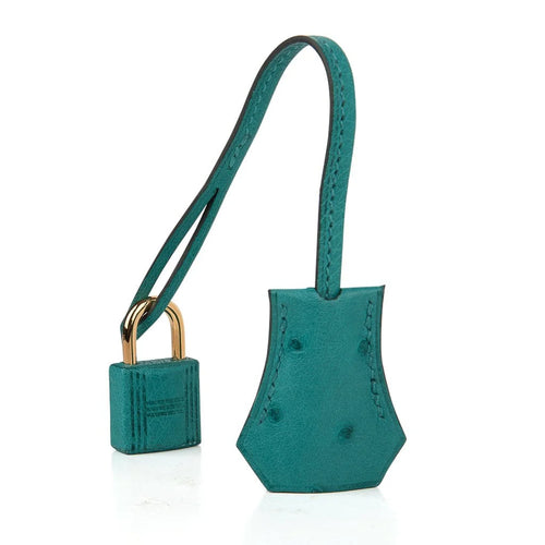 Birkin 25 Bag Vert Verone Ostrich Gold Hardware