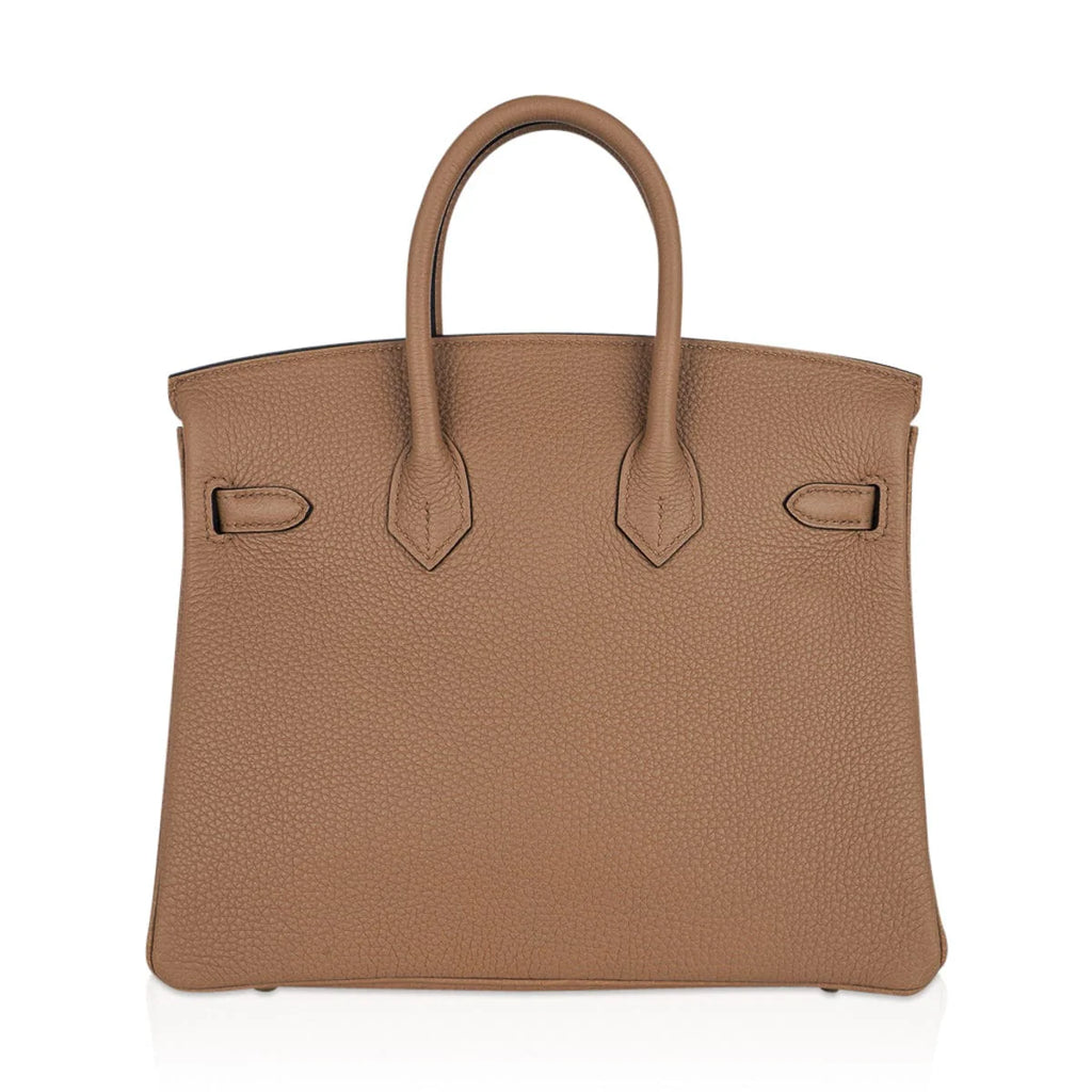 Birkin 25 Bag in Chai Togo Leather with Gold Hardware