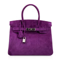 Birkin 30 Bag Rare Doblis Violet Palladium Hardware