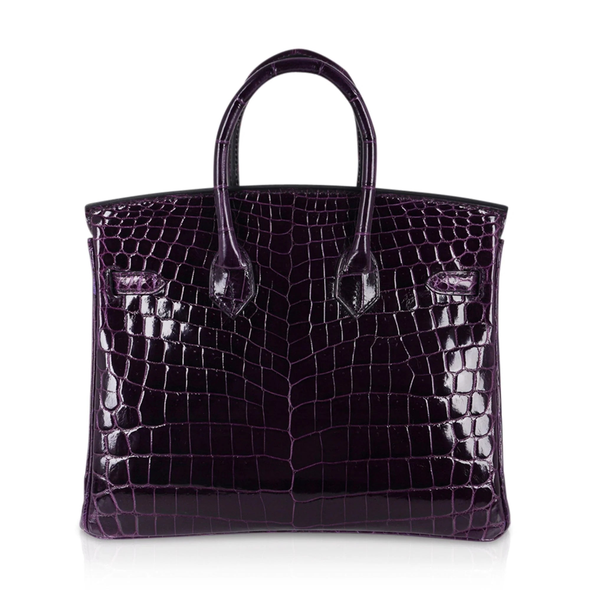Birkin 25 Bag Aubergine Niloticus Crocodile with Gold Hardware