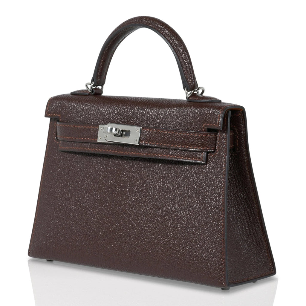 Kelly 20 Bi-Color Mini Sellier Bag Havane / Etrusque Chevre Palladium