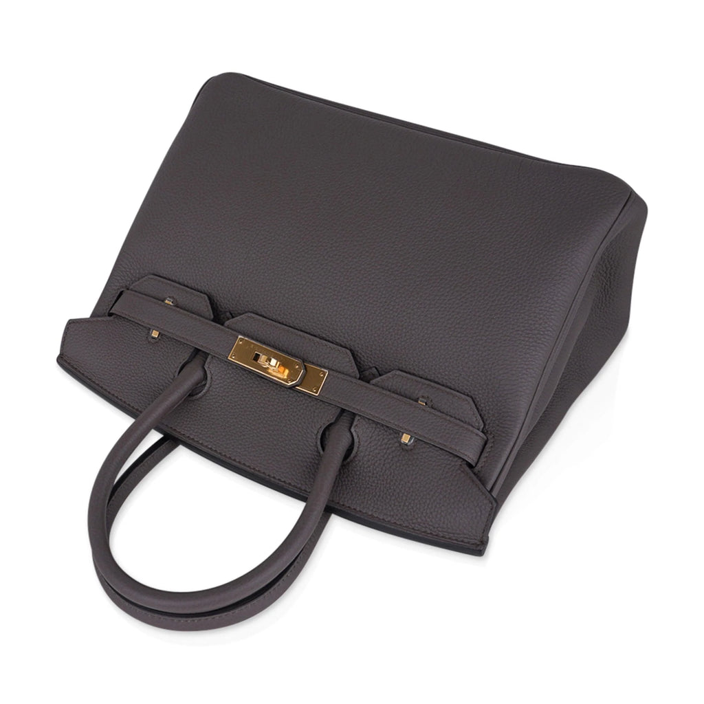 Birkin 30 Bag Etain Gray Coveted Gold Hardware Togo