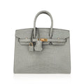 Birkin 25 Bag Gris Ciment Matte Alligator with Gold Hardware