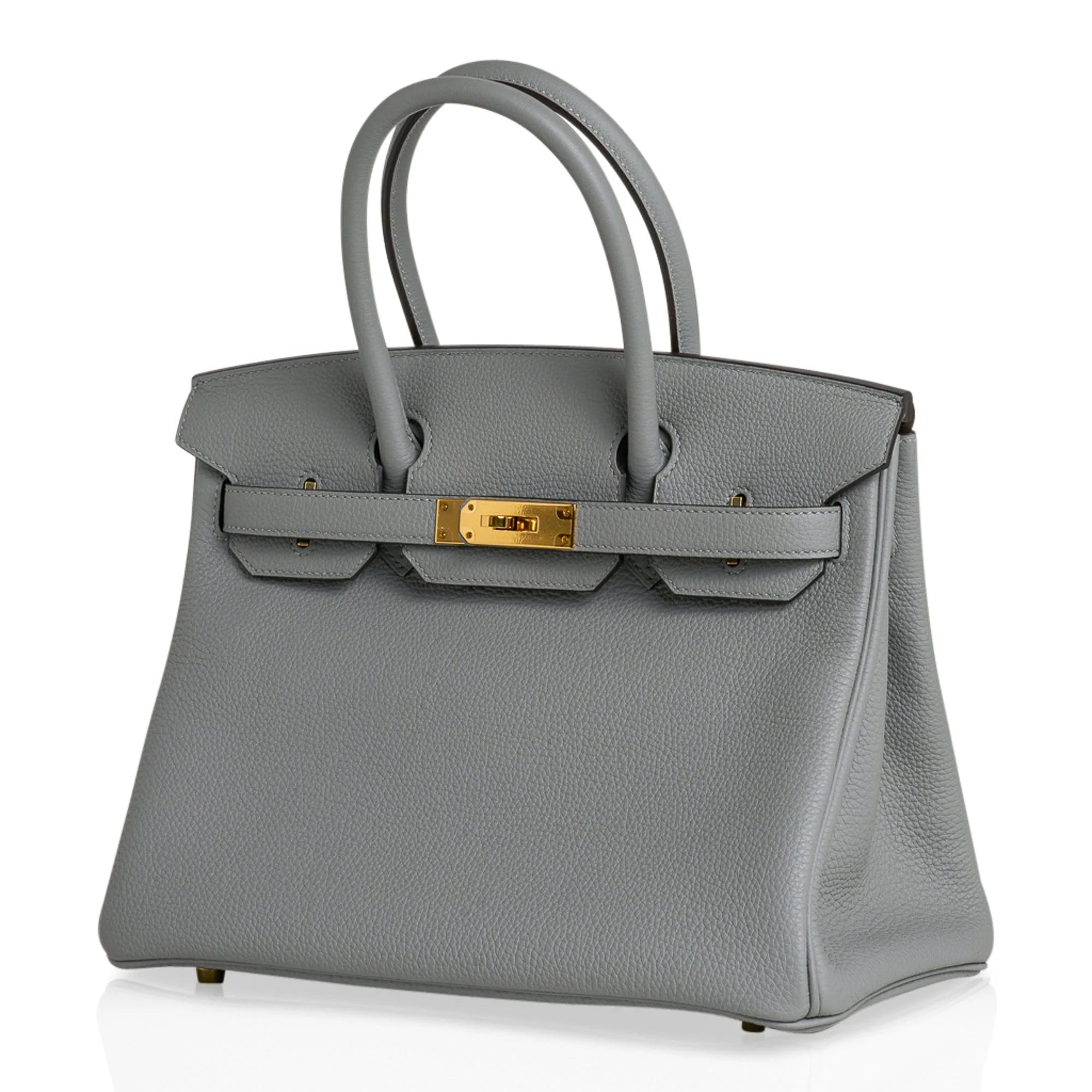 Birkin 30 Bag Gris Mouette Gold Hardware Togo Leather