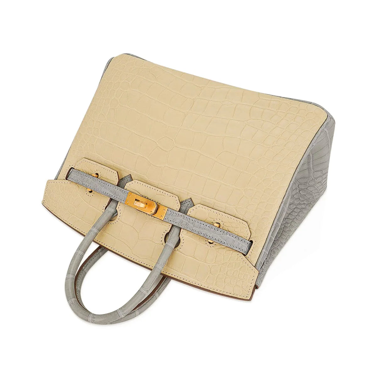 Special Order HSS Birkin 25 Bag in Matte Alligator Vanille and Gris Pearl Alligator with Brushed Gold Hardware