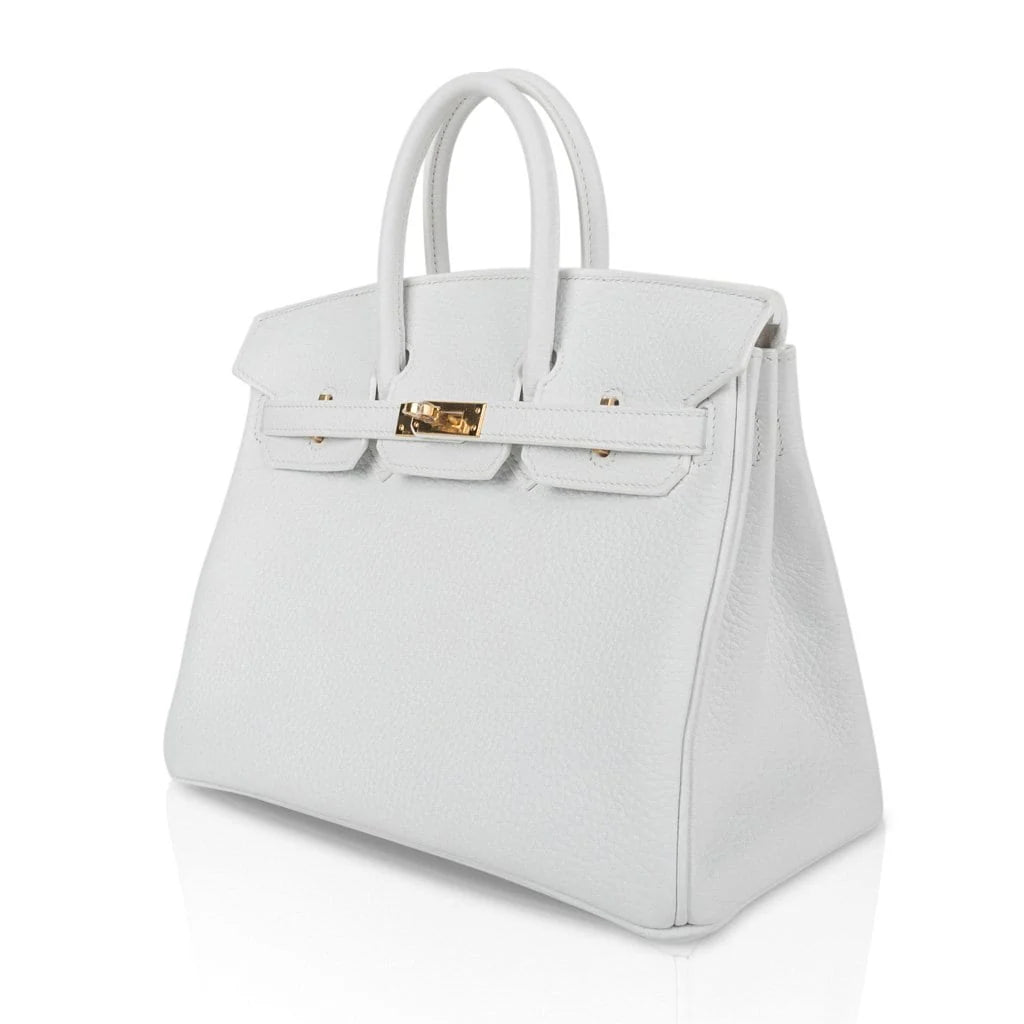 Birkin 25 HSS Bag White Clemence Gold Hardware