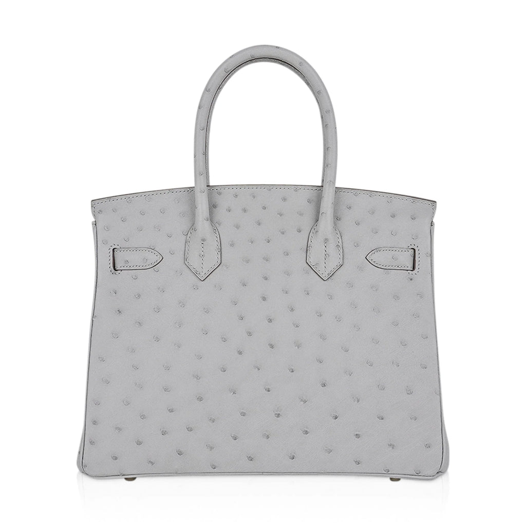 Birkin 30 Bag Gris Perle Ostrich with Gold Hardware