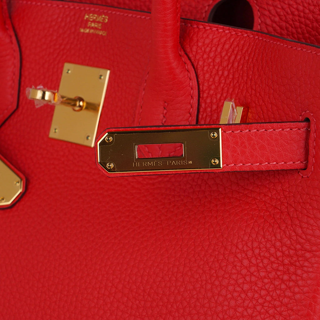 Birkin 30 Capucine Bag Togo Leather Gold Hardware