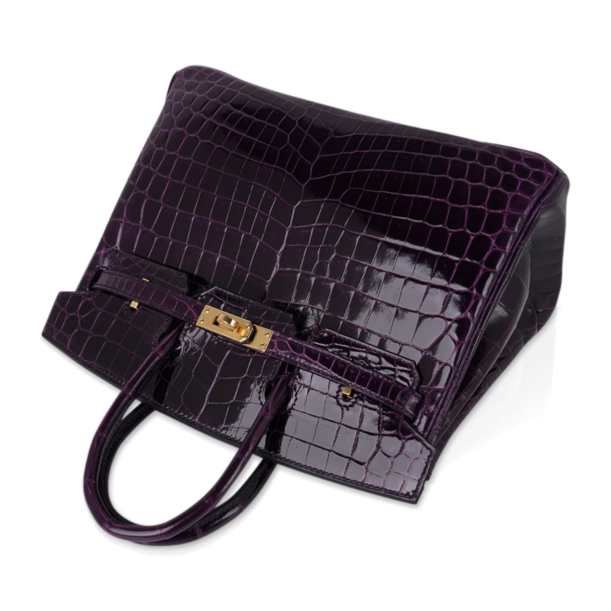 Birkin 25 Bag Aubergine Niloticus Crocodile with Gold Hardware