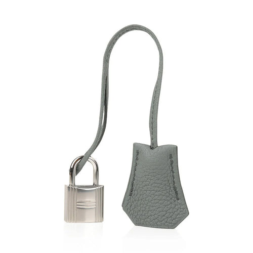 Birkin 25 Bag Vert Amande Togo Palladium Hardware