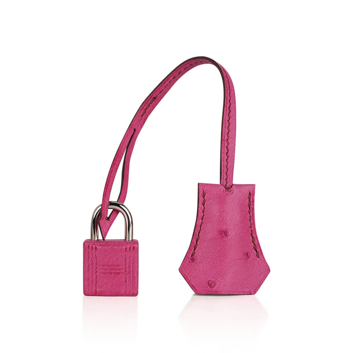 Birkin 25 Bag Fuchsia Ostrich with Palladium Hardware