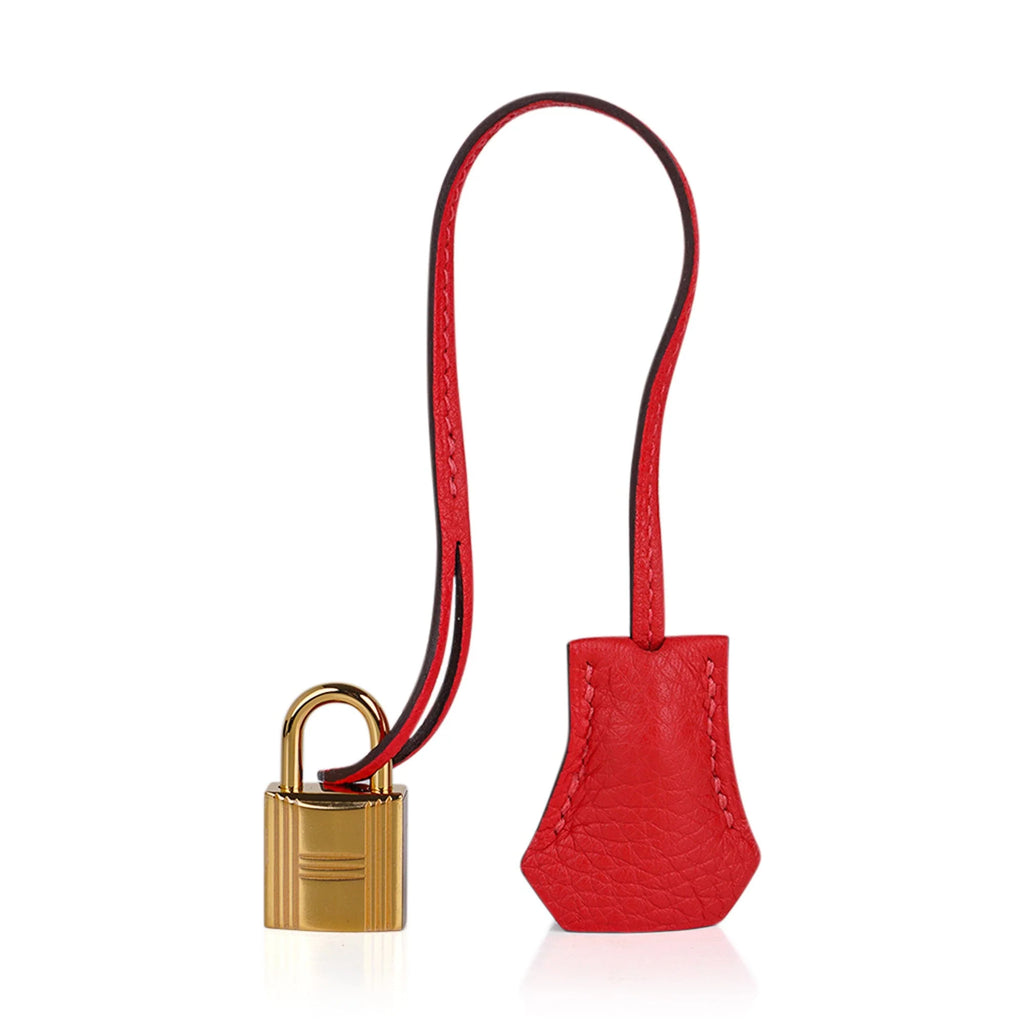 Birkin 30 Capucine Bag Togo Leather Gold Hardware
